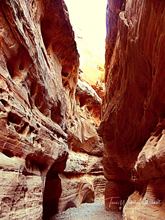 A walk through the narrows