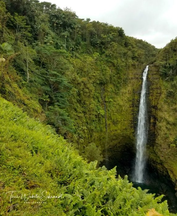 Akaka Falls near Hilo