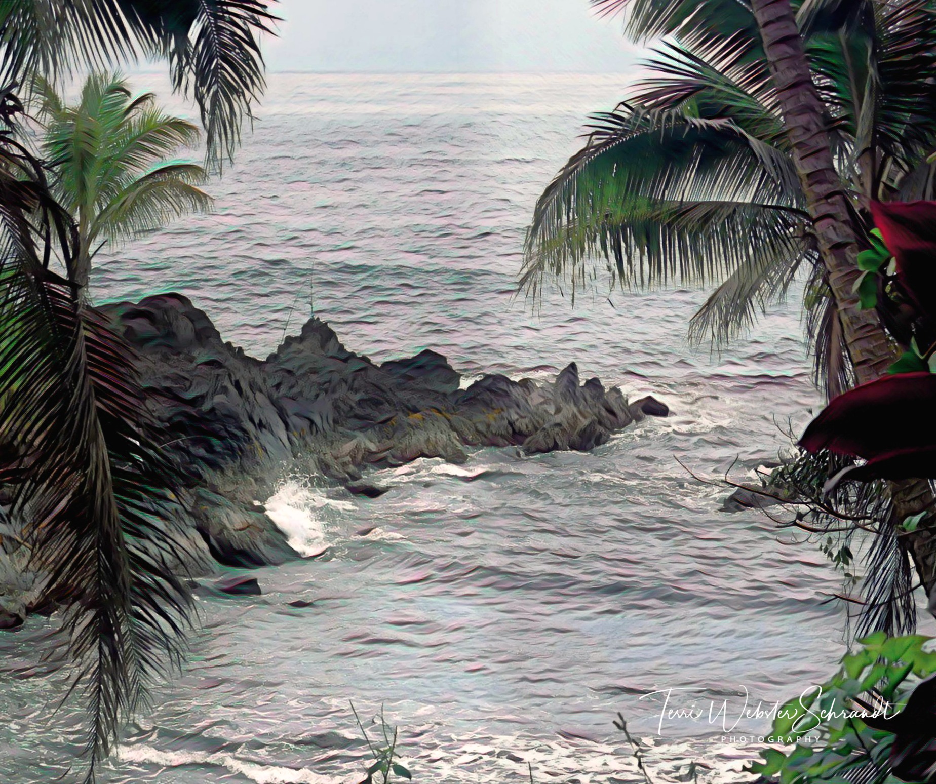 Hawaii Big Island Hamakua Coastline