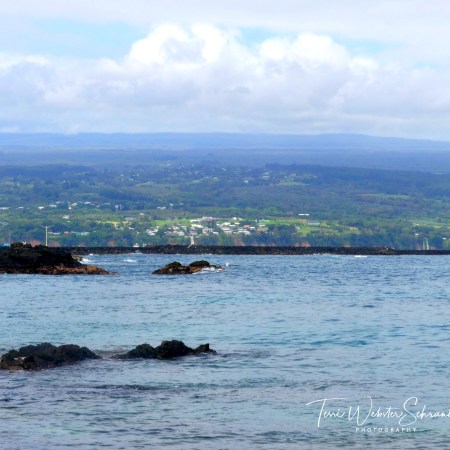 Hilo Bay View
