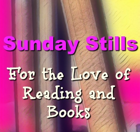 Sunday Stills: For the Love of Reading and Books