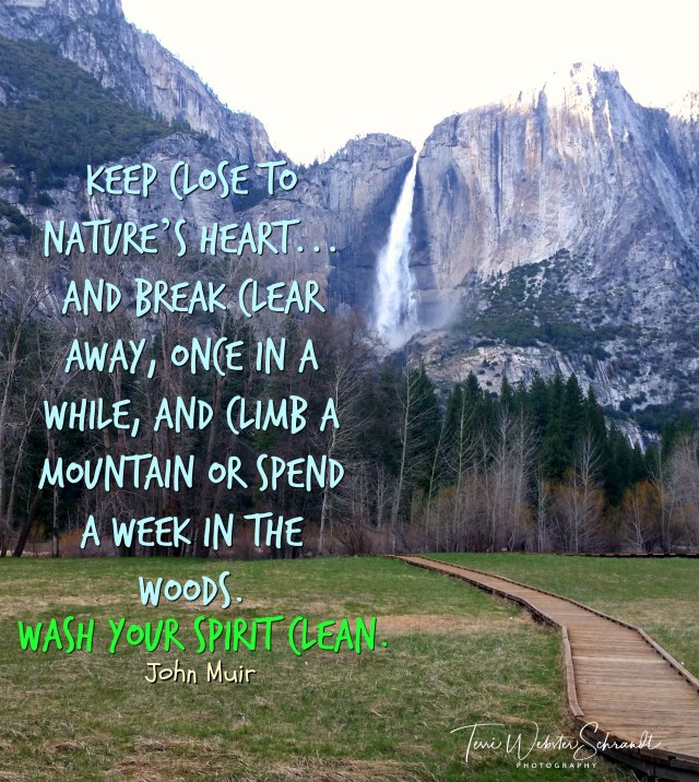 Yosemite Falls John Muir Quote