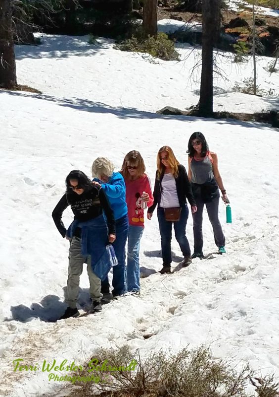 Wordless Wednesday: #Winter Doesn’t Stop&nbsp;Us