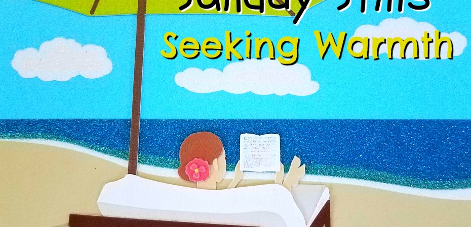 Sunday Stills Beach Graphic