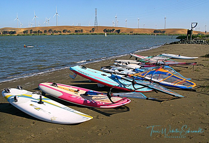 Windsurf Playground