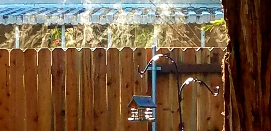 Early morning steam on fence