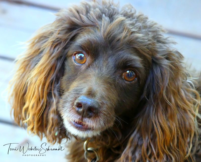 Wordless Wednesday: Aero’s Square&nbsp;Birthday