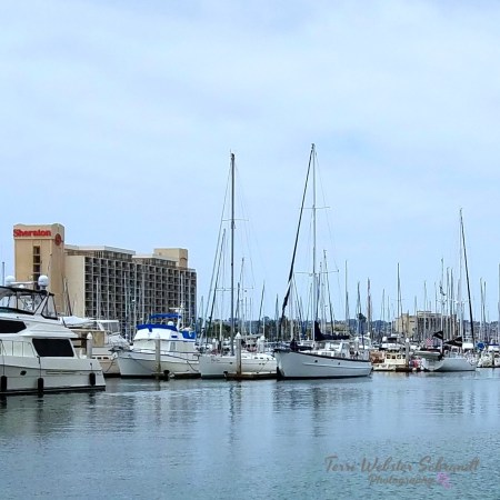 Boats in San Diego Harbor