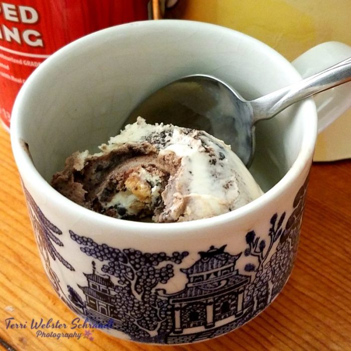 Ice cream scoop in cup