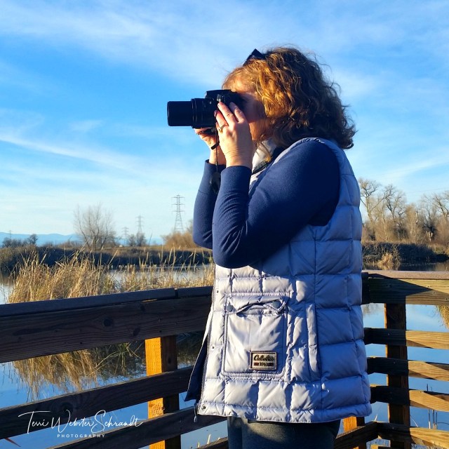 Photographer in Blue