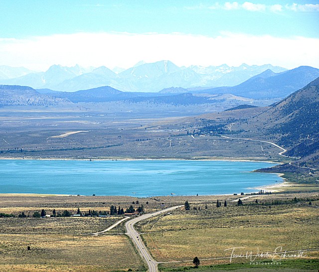 View of Mono Lake