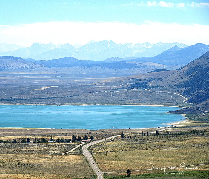 View of Mono Lake