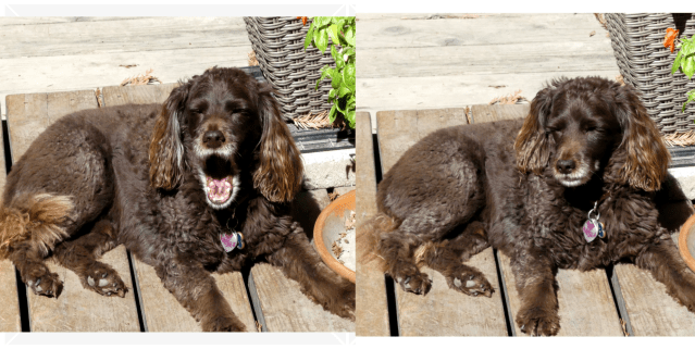 collage of Sleepy Aero