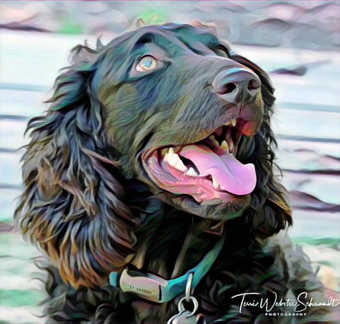 Brodie pretty in pink