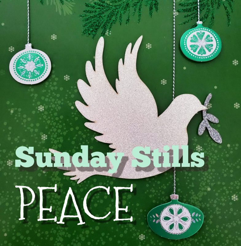 Sunday Stills: Reflections of #Peace at&nbsp;60