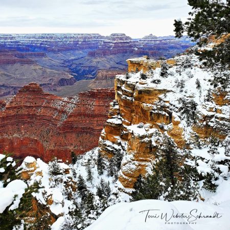 South Rim of the Grand Canyon in snow
