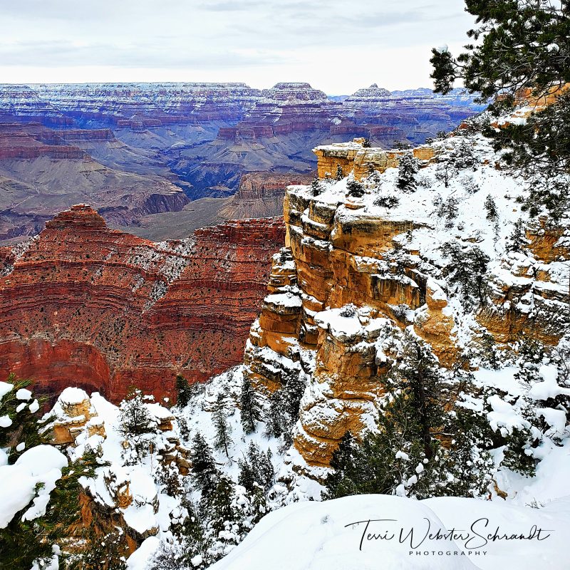 Winter Road Trip Preview: Walking in the Desert&nbsp;Light