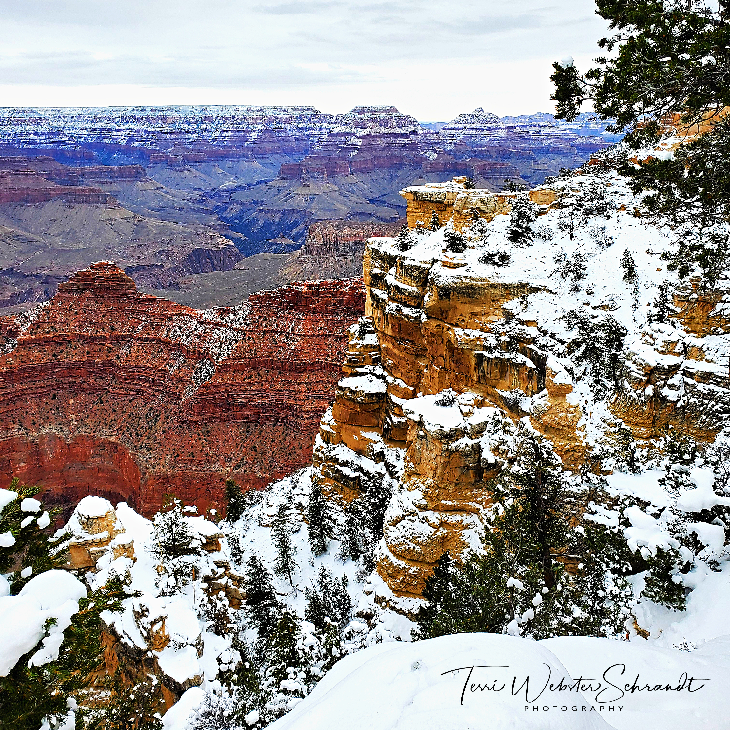 South Rim of the Grand Canyon in snow