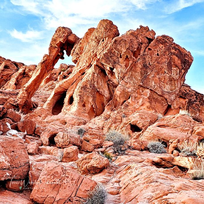 Elephant Rock, Valley of Fire