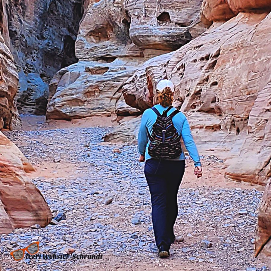 Walking in the Valley of&nbsp;Fire