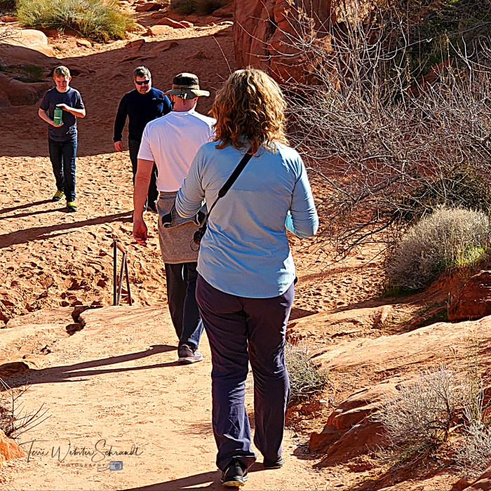 Hiking in Valley of Fire State Park