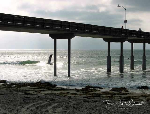 Pier at Ocean Beach