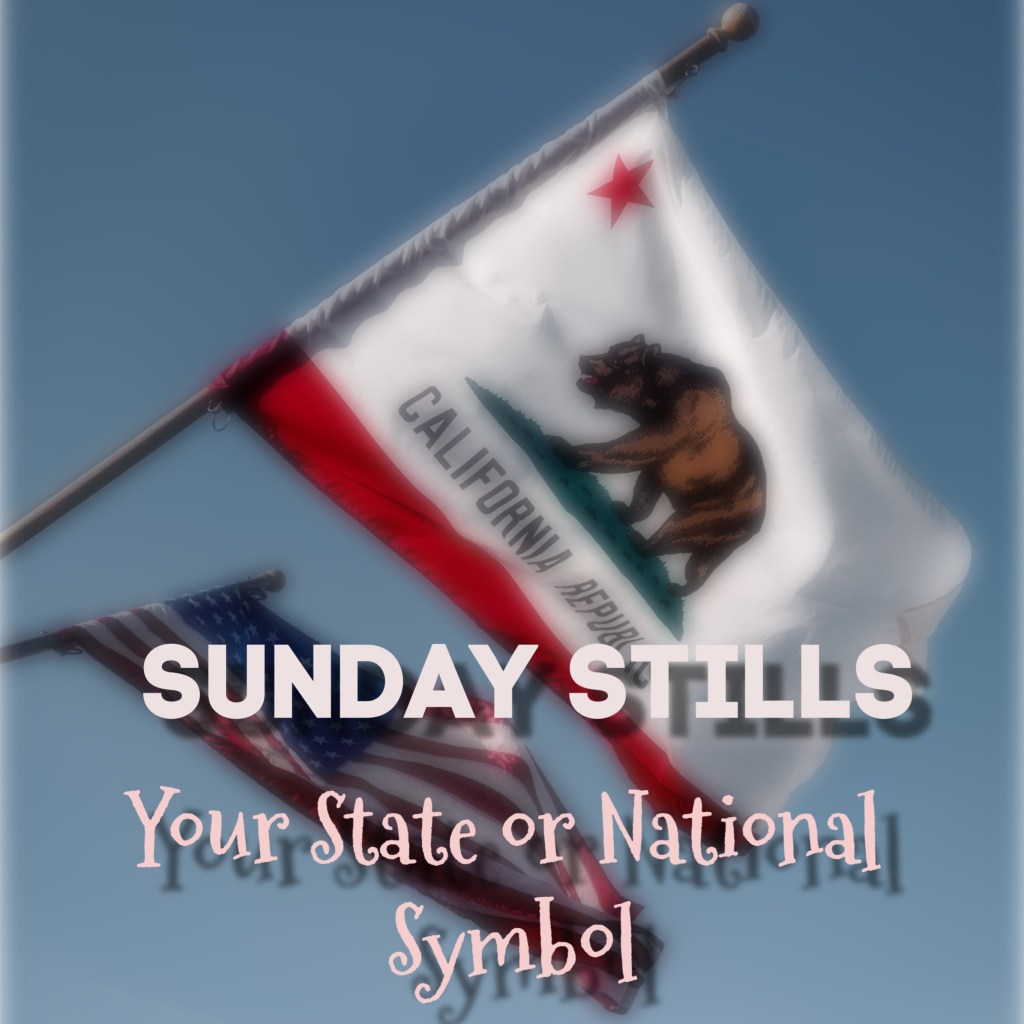 Sunday Stills: Your State or National&nbsp;#Symbol