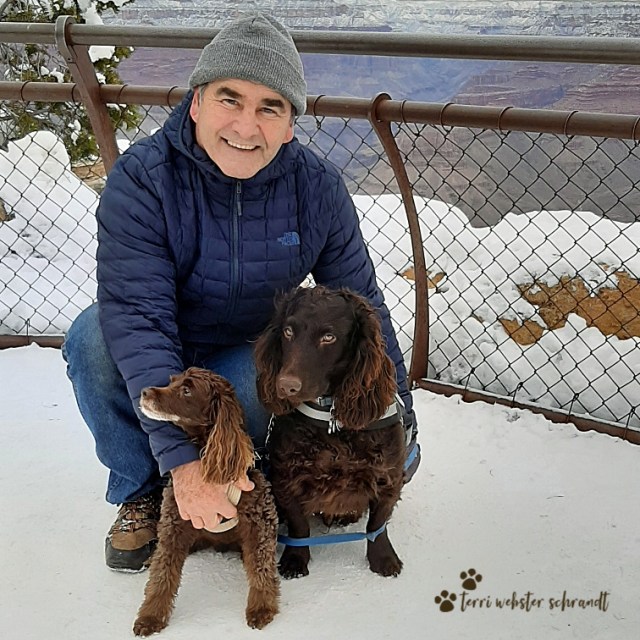 Dogs at the South Rim of Grand Canyon