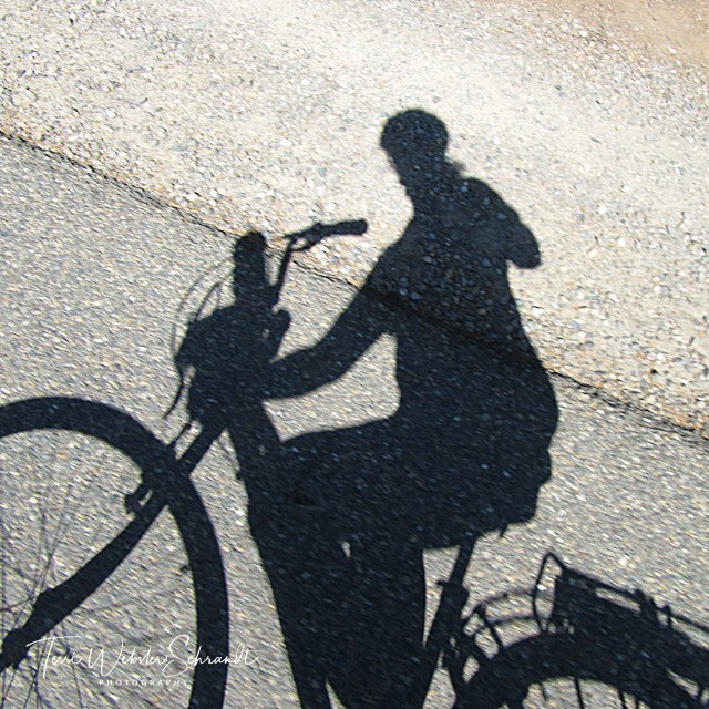 Biking along American River Bike Trail