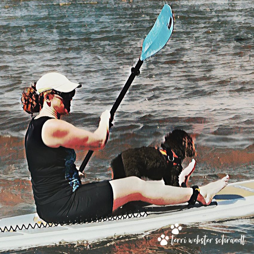 Sunday Stills: Who’s Your Top&nbsp;#Dog?