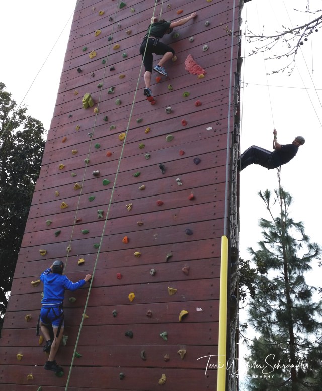 Climbing Straight Up