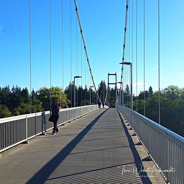 Along the straight and narrow bridge