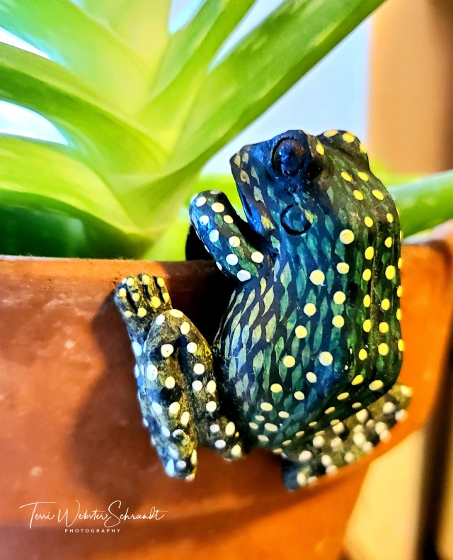 Frog plant hanger