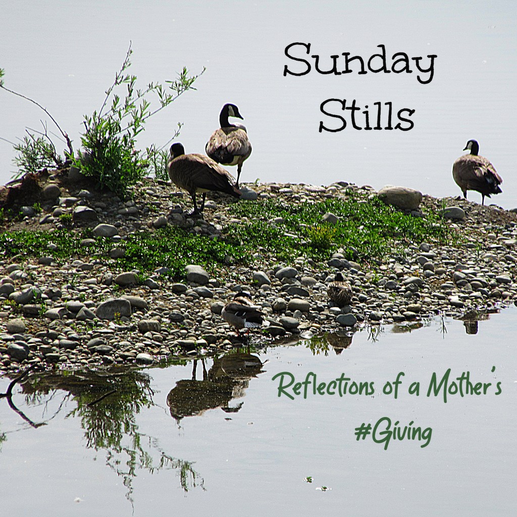 Sunday Stills: Reflections of a Mother’s&nbsp;#Giving