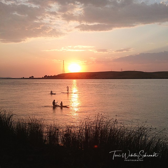 SUP Sunset
