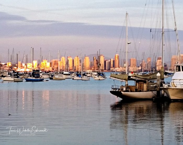 San Diego Harbor Sunset