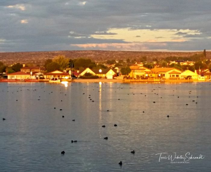 Mojave Desert Sunrise