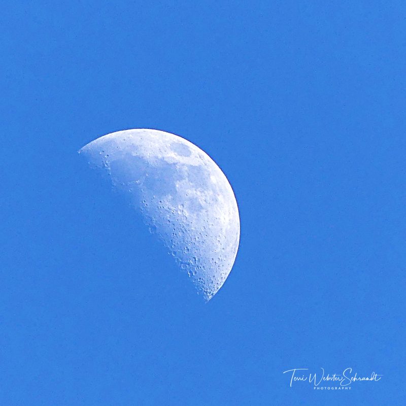 Sunday Stills: Look! Up in the&nbsp;#Sky!