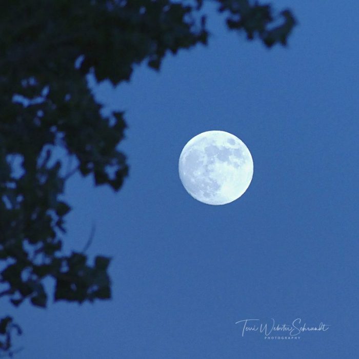 Full moon Perspective