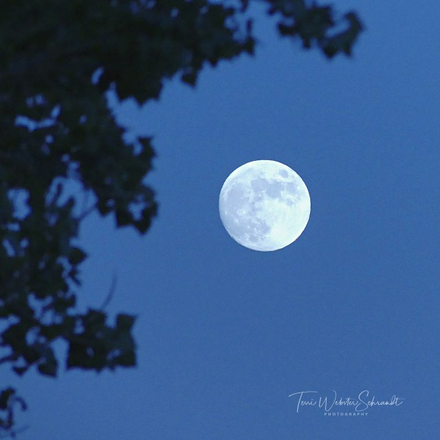 Full moon Perspective