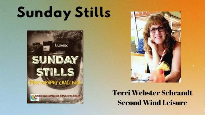 Guest Post Banner