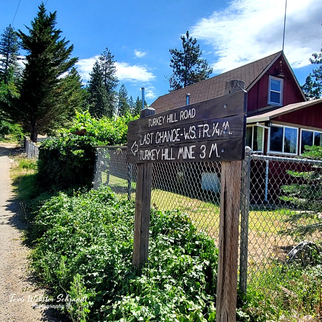 Western States trail