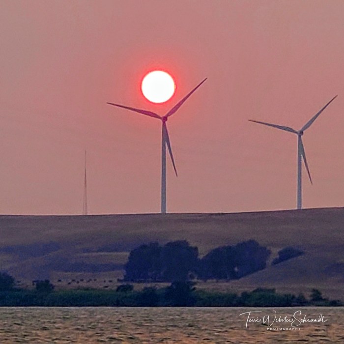 Sunset over wind turbines