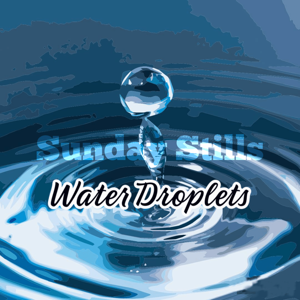 Sunday Stills: Wishing for Water, But #Droplets Will&nbsp;Do