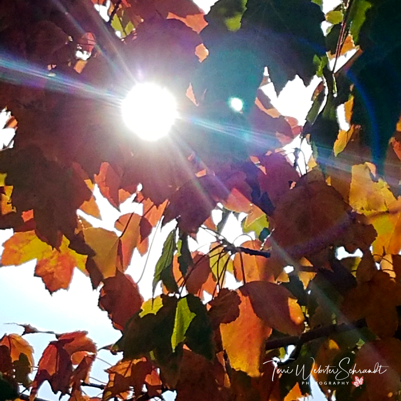 Sunday Stills: The Impossible&nbsp;#Brightness