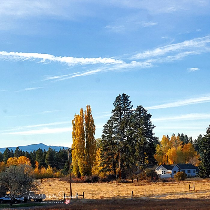 October Autumn Central Oregon