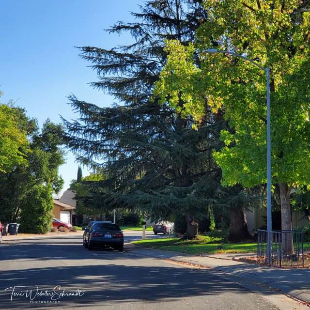 favorite neighborhood