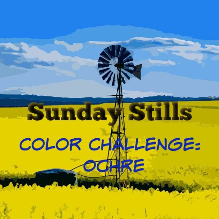Banner yellow ochre color challenge