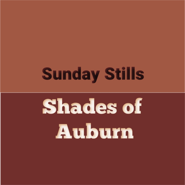Auburn Color Graphic