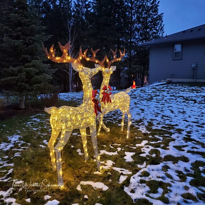 Reindeer lights